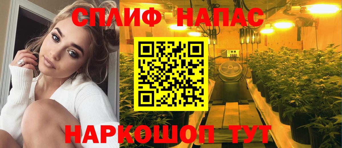 Тулун  Шишки марихуана индика  Вход с VPN  Бошки марихуана AK-47 